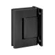 BL 8010 SOL Double-sided hinge for solid glass doors, wall/glass, anodized, satin black (005)