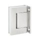 BL 8010 SOL Double-sided hinge for solid glass doors, wall/glass, silver tone, natural anodized (002)