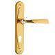 ELIKA Crystal 991 handle set with backplates PZ/72mm, brass gold-plated