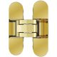 ECLIPSE 2.0 concealed hinge, brass PVD