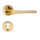 SPIRIT handle/rose 023 set PZ, gold plated