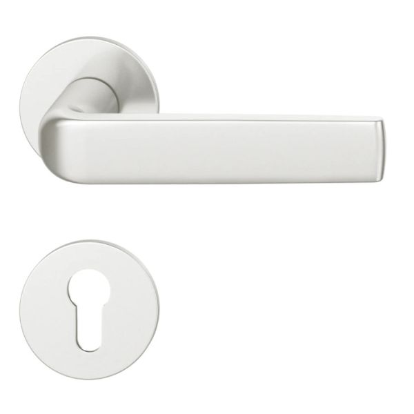 16 1267 AFL rankenos rinkinys ant apvalių rozečių PZ, durų storis 39-48mm, anodizuotas aliuminis F1