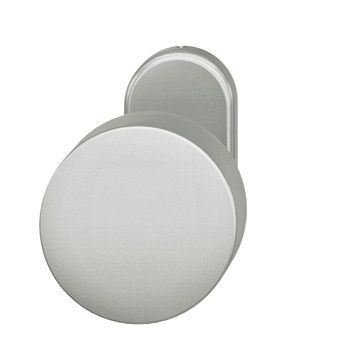 Fixed handle knob 07 0829, on oval rose, aluminium F1