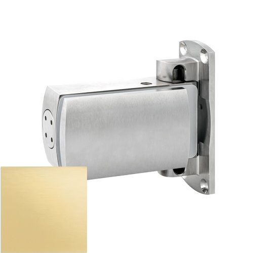 BL 8060 SF Reguliuojamas hidraulinis vyris, siena/stiklas, PVD poliruoto aukso spalvos (016)