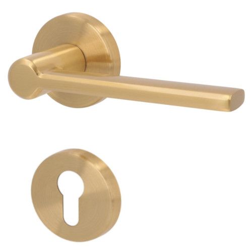 ELIO-R rankenos rinkinys su rozetėmis PZ, šlifuotas žalvaris