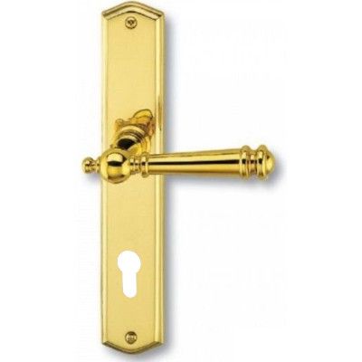 Mount Everest-LS durų rankena su PZ plokštele, poliruotas žalvaris
