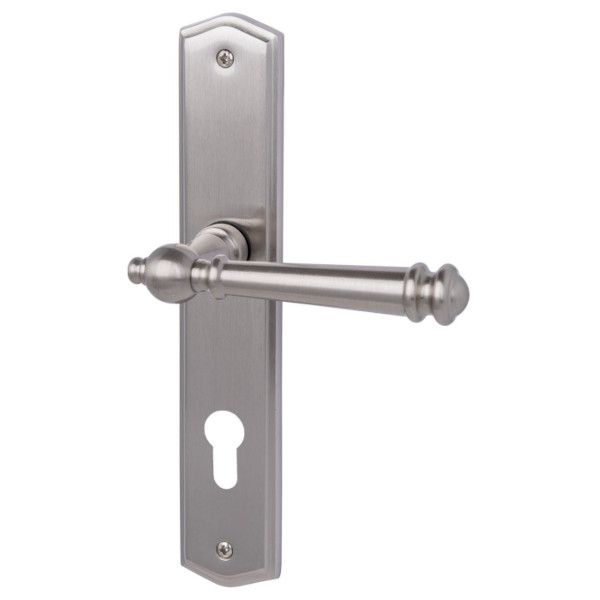 Mount Everest-LS durų rankena su PZ plokštele, žalvario šlifuotas nerūdijantis plienas