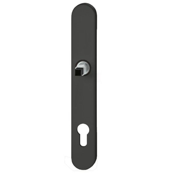 FSB 14 1596 ASL long backplate for framed doors PZ/92/8mm, aluminium black S8, textured matt